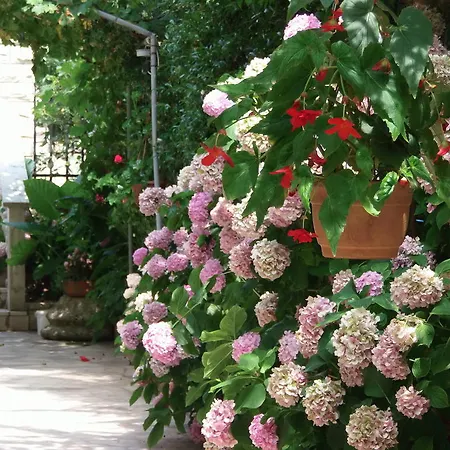Beba Mali Losinj