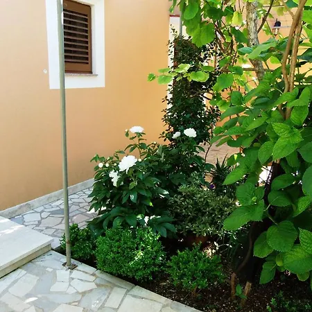 Apartment Beba *