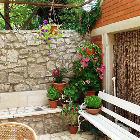 Apartment Beba