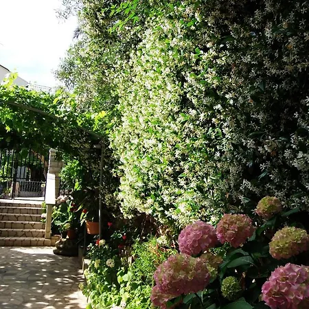 Beba Apartament