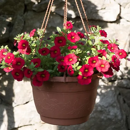 Apartment Beba Mali Losinj